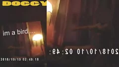 Redare Big Cock o cucerește pe babe mature într-o sesiune intensă de câine